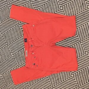 AG Adriano Goldschmied the legging